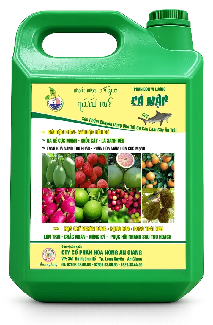 Cá Mập My