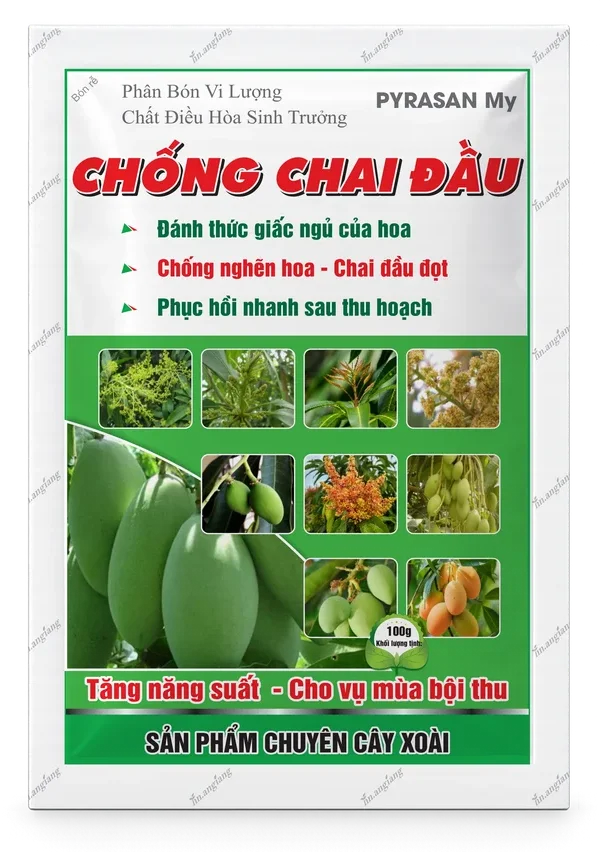 Pyrasan My Chống Chai Đầu