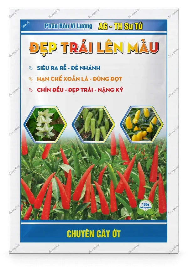 AG-TH Sư Tử Đẹp Trái – Lên Màu