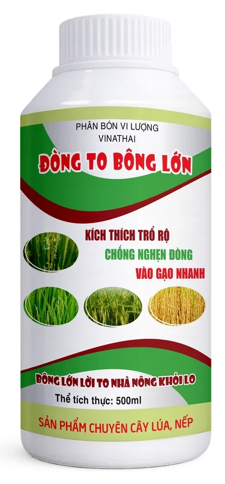 Vinathai Đòng To Bông Lớn