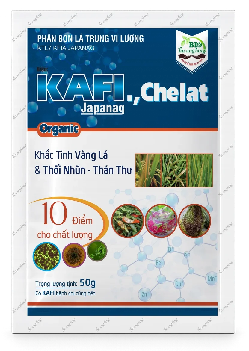 KTL7 KFIA Japanag Kafi Chelat