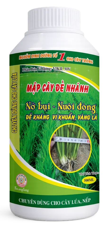 Vikil My Mập Cây Đẻ Nhánh
