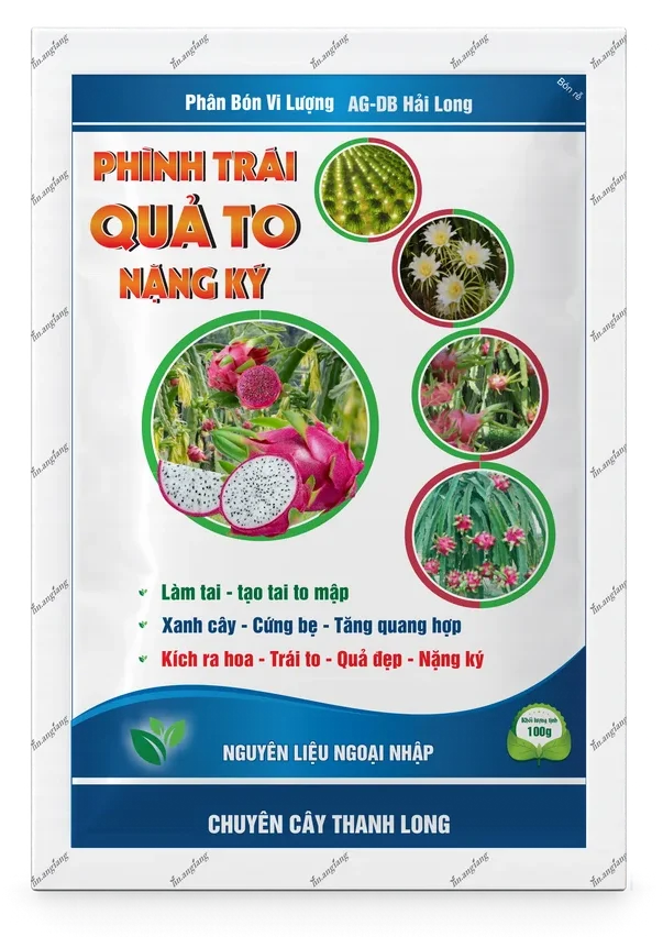 AG-DB Hải Long Phình Trái – Quả To – Nặng Ký