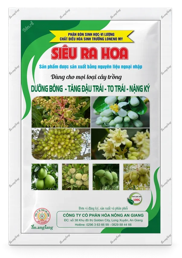 Loneno My Siêu Ra Hoa