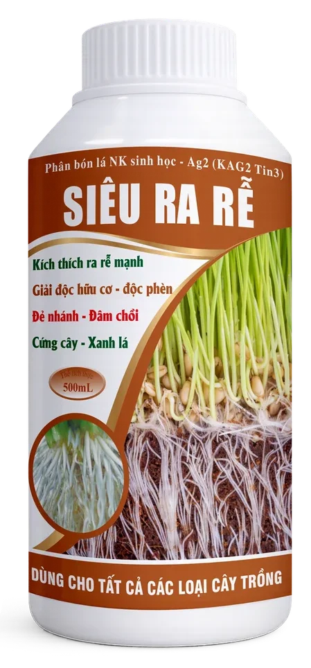 Ag2 Siêu Ra Rễ