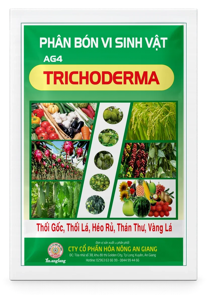 AG4 Trichoderma