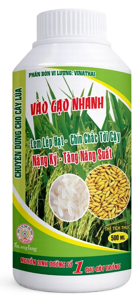 Vinathai Vào Gạo Nhanh