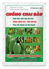 Pyrasan My Chống Chai Đầu