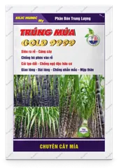 Silic Humic My Trúng Mùa Gold 9999